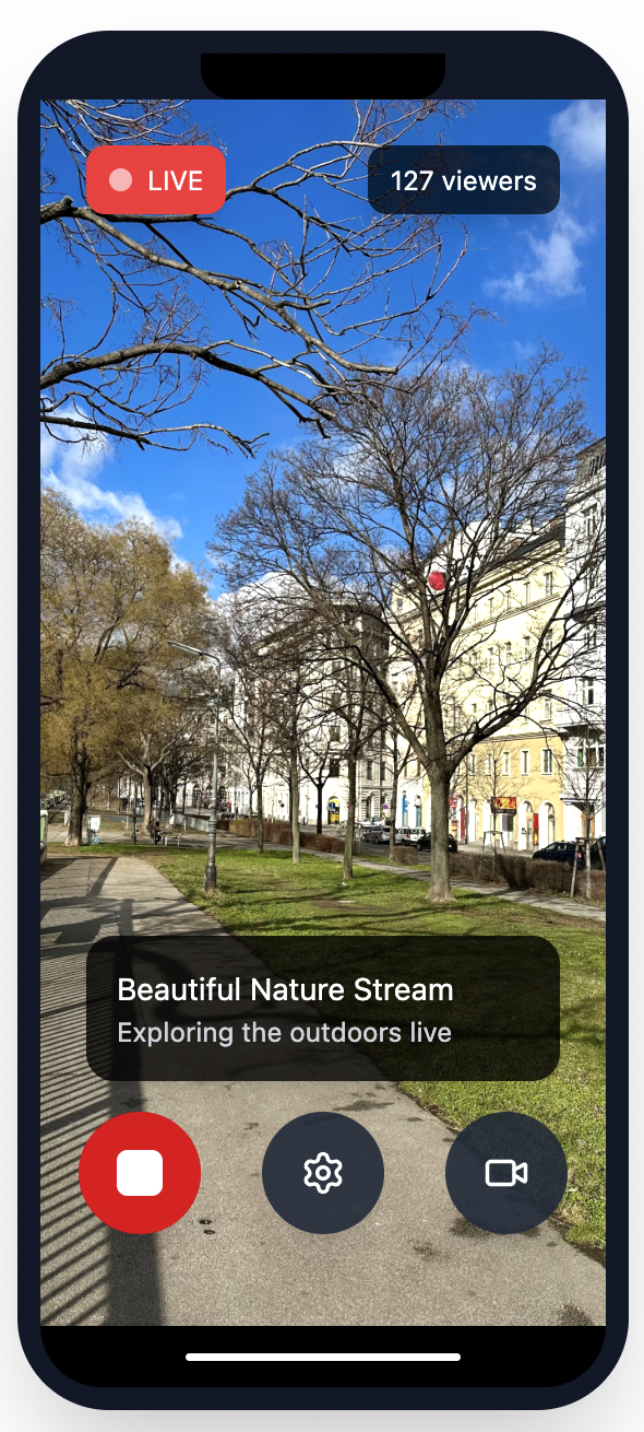 Stream status monitoring